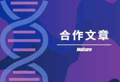 登顶Nature|产量+抗性，鱼和熊掌也可兼得